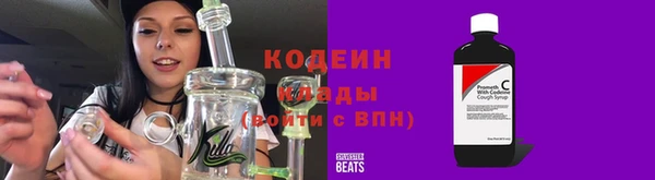 прущие грибы Верея