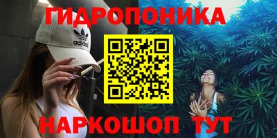 стаф Камышлов