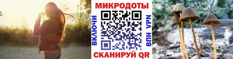 продажа наркотиков  Мариинск  Галлюциногенные грибы мицелий 
