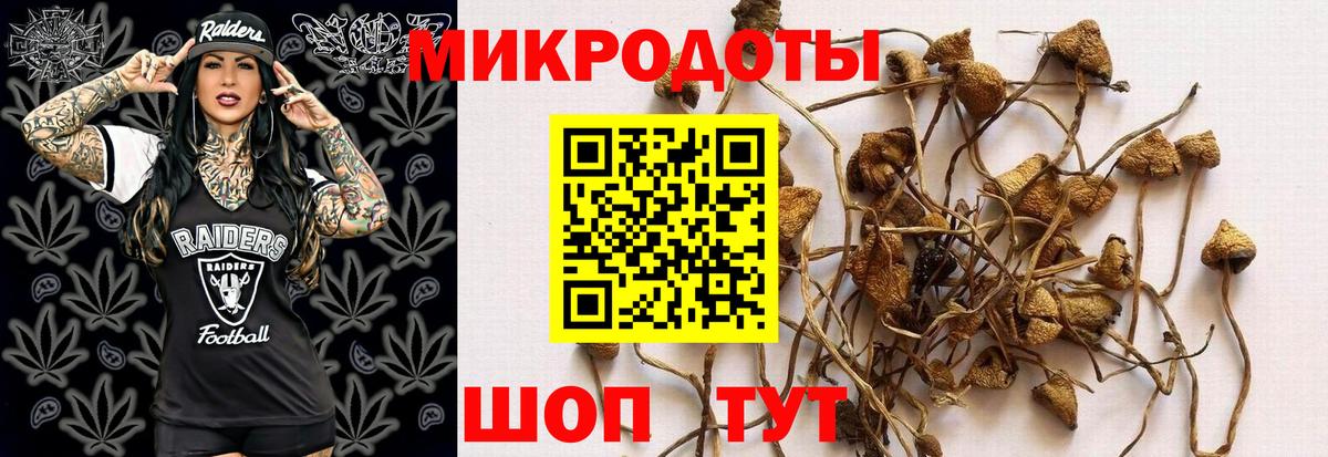 Галлюциногенные грибы мицелий Мариинск