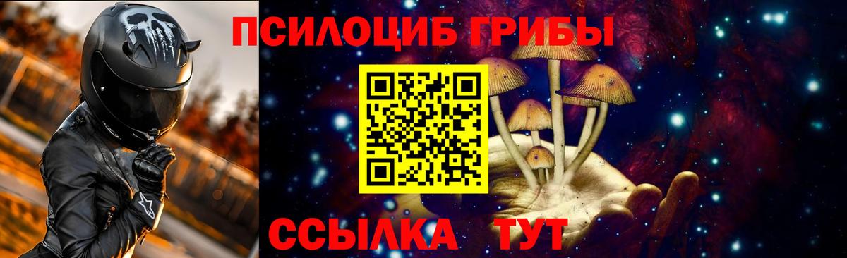 Псилоцибиновые грибы мицелий  Мариинск  купить   Галлюциногенные грибы Cubensis 